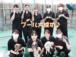 ドッグランでモデル犬とプール♪～1日目～